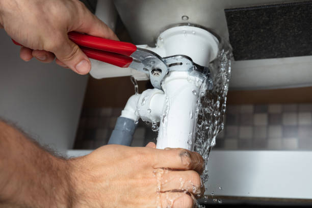 Best Professional water damage repair  in Riverside, MD