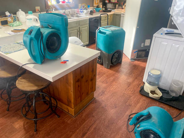 Trusted Riverside, MD Water damage restoration Experts