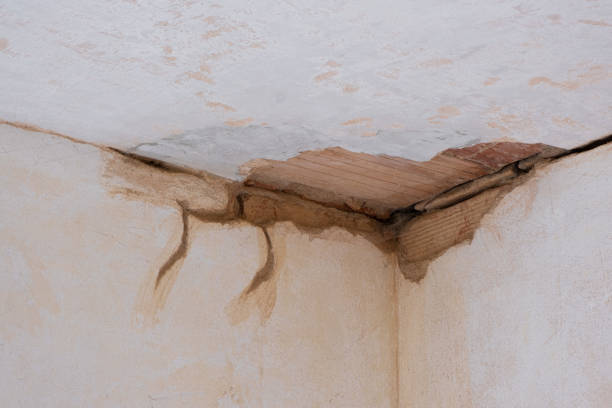 Best Mold removal after water damage  in Riverside, MD