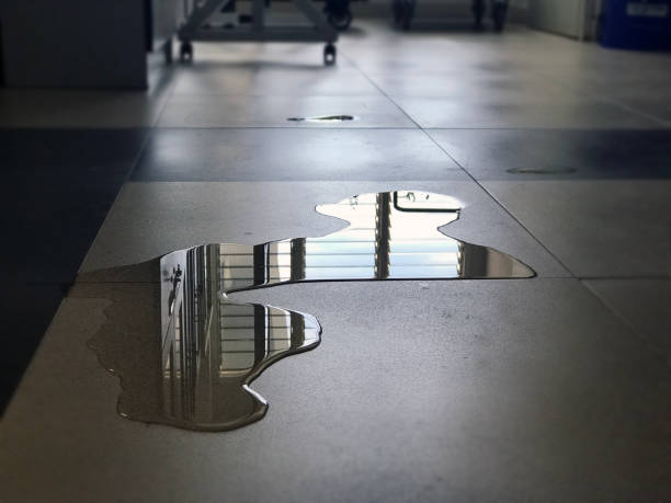 Best 24/7 water damage repair  in Riverside, MD