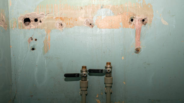 Best Flood restoration services  in Riverside, MD