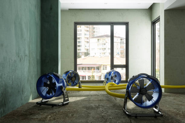 Best Local water damage restoration  in Riverside, MD