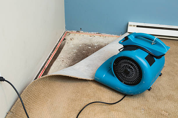 Best Flood restoration services  in Riverside, MD